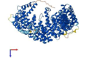 IPO13 Protein (AA 1-963) (His tag)