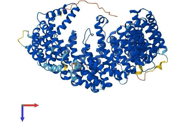 IPO13 Protein (AA 1-963) (His tag)