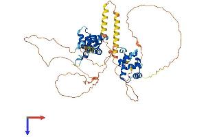 NAB1 Protein (AA 1-486) (His tag)