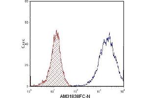 Flow Cytometry (FACS) image for anti-S100 Calcium Binding Protein A8 (S100A8) antibody (FITC) (ABIN954653) (S100A8 Antikörper  (FITC))
