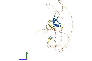 Protein Structure (PS) image for Forkhead Box A2 (FOXA2) (AA 1-457) protein (His tag) (ABIN7553977)