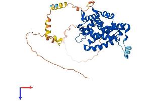 ELMOD3 Protein (AA 1-381) (His tag)