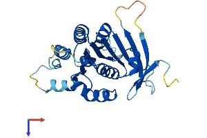 ELP6 Protein (AA 1-266) (His tag)