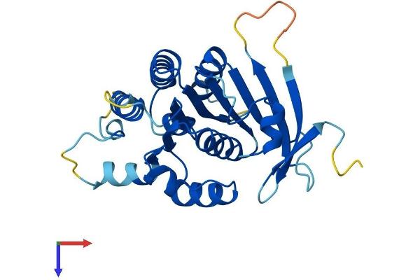 ELP6 Protein (AA 1-266) (His tag)