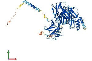 Protein Structure (PS) image for Dopamine beta-Hydroxylase (Dopamine beta-Monooxygenase) (DBH) (AA 1-622) protein (His tag) (ABIN7557817)