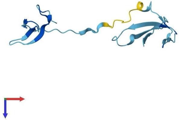 POLR3K Protein (AA 1-108) (His tag)