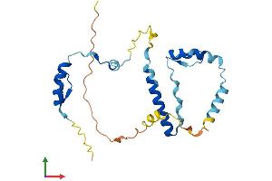 AlphaFold protein structure predicition of Human Recombinant ZC2HC1B Protein, UniprotID Q5TFG8