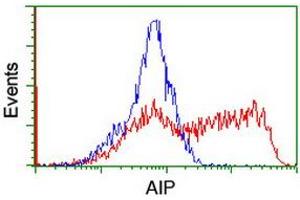 Image no. 2 for anti-Aryl Hydrocarbon Receptor Interacting Protein (AIP) antibody (ABIN1496677) (AIP Antikörper)