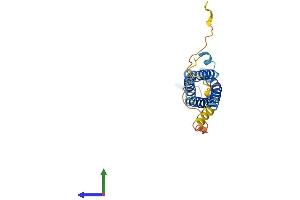 Protein Structure (PS) image for Synaptogyrin 3 (SYNGR3) (AA 1-229) protein (His tag) (ABIN7546253)