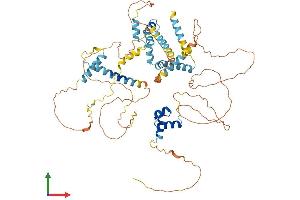 Protein Structure (PS) image for Ligand Dependent Nuclear Receptor Corepressor-Like (LCORL) (AA 1-602) protein (His tag) (ABIN7549022)