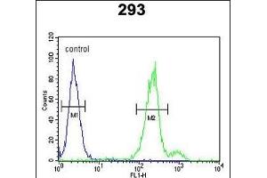 CLRN3 Antibody (C-term) (ABIN653073 and ABIN2842673) flow cytometric analysis of 293 cells (right histogram) compared to a negative control cell (left histogram). (Clarin 3 Antikörper  (C-Term))