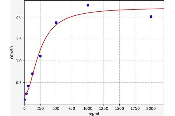 RPS19 ELISA Kit