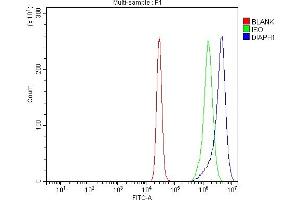 Flow Cytometry analysis of K562 cells using anti-DIAPH1 antibody (ABIN7599652). (DIAPH1 Antikörper  (AA 1039-1153))