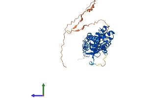 Protein Structure (PS) image for Hepatocyte Nuclear Factor 4 gamma (HNF4G) (AA 1-408) protein (His tag) (ABIN7548287)