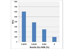 Lactose detection in bovine nonfat dry milk using the Lactose Assay Kit