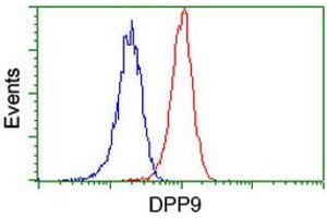 Flow cytometric Analysis of Jurkat cells, using anti-DPP9 antibody (ABIN2455322), (Red), compared to a nonspecific negative control antibody, (Blue). (DPP9 Antikörper)