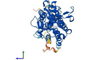 Protein Structure (PS) image for Indoleamine 2,3-Dioxygenase 1 (IDO1) (AA 1-403) protein (His tag) (ABIN7554146)