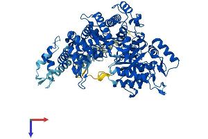 RRM1 Protein (AA 1-792) (His tag)