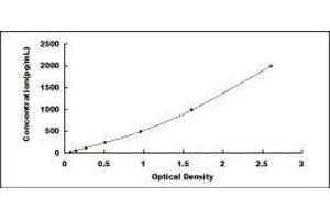 ELISA image for Epithelial Cell Adhesion Molecule (EPCAM) ELISA Kit (ABIN414691)