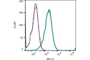 Cell surface detection of GlyT1 by indirect flow cytometry in live intact human Jurkat T-cell leukemia cells: + goat-anti-rabbit-APC.