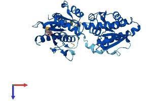 ALG2 Protein (AA 1-416) (His tag)