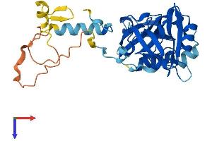 SDCBP2 Protein (AA 1-292) (His tag)