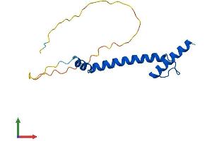 Protein Structure (PS) image for Nescient Helix Loop Helix 2 (NHLH2) (AA 1-135) protein (His tag) (ABIN7548263)