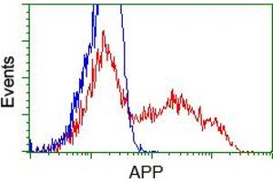 Image no. 4 for anti-Amyloid beta (A4) Precursor Protein (APP) antibody (ABIN1496879) (APP Antikörper)