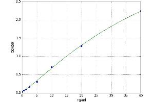 HLA Class I Histocompatibility Antigen, alpha Chain G (HLAG) ELISA Kit