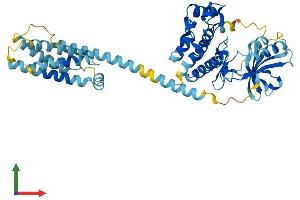 Protein Structure (PS) image for Mixed Lineage Kinase Domain-Like (MLKL) (AA 1-471) protein (His tag) (ABIN7549487)