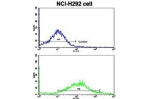 Flow Cytometry (FACS) image for anti-K-Cadherin (CDH6) antibody (ABIN2997777) (CDH6 Antikörper)