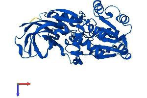 PTGR2 Protein (AA 1-351) (His tag)