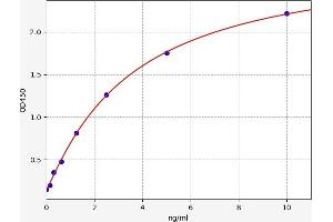 MGLL ELISA Kit