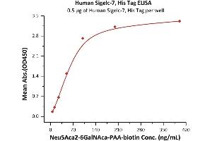 Immobilized Human Sigelc-7, His Tag (ABIN6973266) at 5 μg/mL (100 μL/well) can bind Neu5AAca-n with a linear range of 6-100 ng/mL (QC tested). (SIGLEC7 Protein (AA 19-353) (His tag))