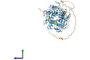 AlphaFold protein structure predicition of Human Recombinant ZNF543 Protein, UniprotID Q08ER8