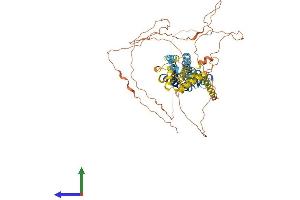 Protein Structure (PS) image for Pannexin 2 (PANX2) (AA 1-677) protein (His tag) (ABIN7557930)