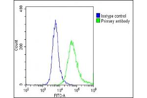 Overlay histogram showing U-87 MG cells stained with (ABIN6242848 and ABIN6578683)(green line). (GNG3 Antikörper  (AA 39-69))