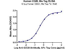 ELISA image for Membrane-Spanning 4-Domains, Subfamily A, Member 1 (MS4A1) (AA 141-188) protein (His-Avi Tag) (ABIN7274102)
