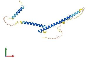 Protein Structure (PS) image for MAX Dimerization Protein 3 (MXD3) (AA 1-206) protein (His tag) (ABIN7549144)