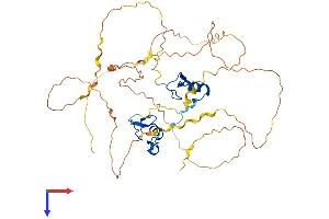 GATA3 Protein (AA 1-443) (His tag)
