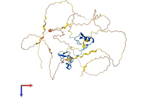 GATA3 Protein (AA 1-443) (His tag)