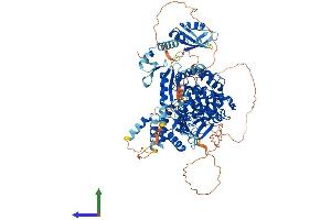 Protein Structure (PS) image for Terminal Uridylyl Transferase 1, U6 SnRNA-Specific (TUT1) (AA 1-874) protein (His tag) (ABIN7555607)
