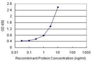 Sandwich ELISA detection sensitivity ranging from 0.