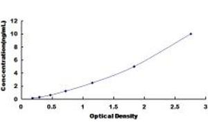 Typical standard curve (Hsc70 ELISA Kit)