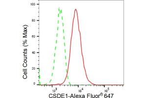 Flow cytometric analysis of CSDE1 expression in C2C12 cells using CSDE1 antibody (ABIN7798122), 1:2,000). (Rekombinanter CDSE1 Antikörper)