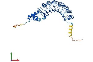 Protein Structure (PS) image for F-Box and Leucine-Rich Repeat Protein 15 (FBXL15) (AA 1-300) protein (His tag) (ABIN7560014)