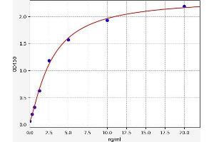 Typical standard curve (Kallikrein 6 ELISA Kit)
