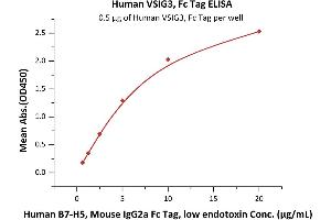 Immobilized Human VSIG3, Fc Tag (ABIN6923167,ABIN6938885) at 5 μg/mL (100 μL/well) can bind Human B7-H5, Mouse IgG2a Fc Tag, low endotoxin (ABIN5954953,ABIN6253644) with a linear range of 0. (IGSF11 Protein (AA 23-241) (Fc Tag))