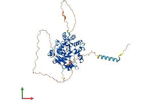 Protein Structure (PS) image for ST6 (Alpha-N-Acetyl-Neuraminyl-2,3-beta-Galactosyl-1,3)-N-Acetylgalactosaminide alpha-2,6-Sialyltransferase 1 (ST6GALNAC1) (AA 1-526) protein (His tag) (ABIN7561813)
