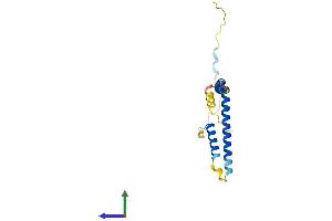 AlphaFold protein structure predicition of Mouse Recombinant Med28 Protein, UniprotID Q920D3